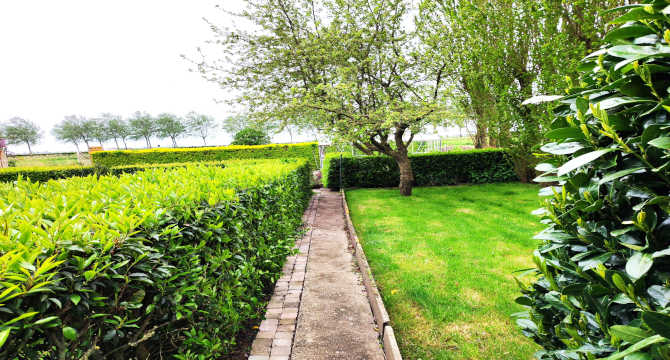 Grüne Umgebung,Garten,Gemüsegarten,groene omgeving,moestuin,boomgaard